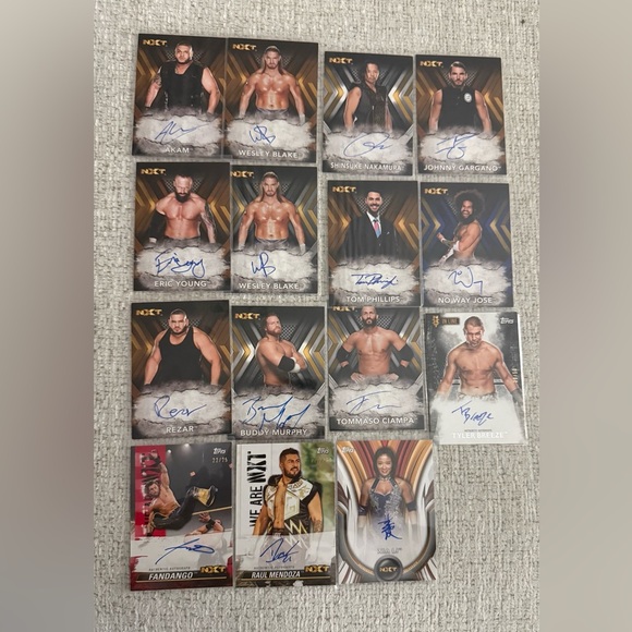 WWE Wrestling Trading Cards Collection